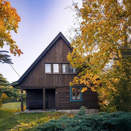 Dom Pod Klonem Na Kaszubach Villa Koscierzyna Ngoại thất bức ảnh