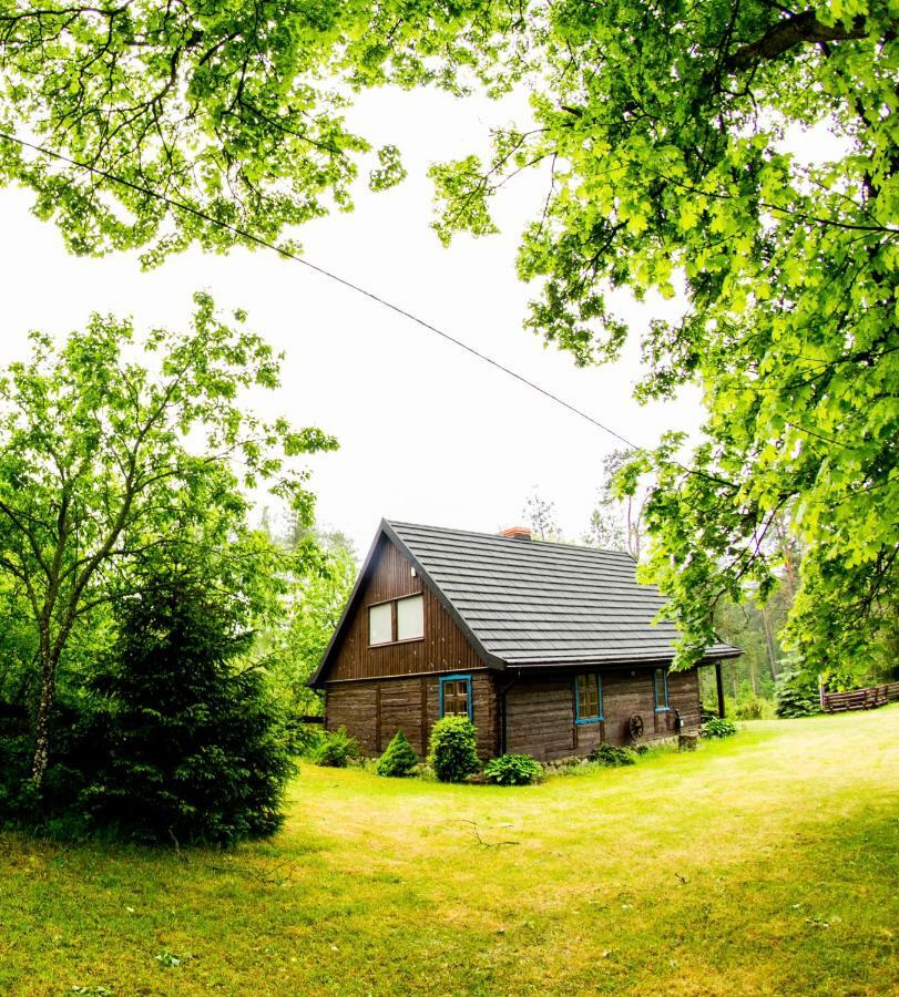 Dom Pod Klonem Na Kaszubach Villa Koscierzyna Ngoại thất bức ảnh
